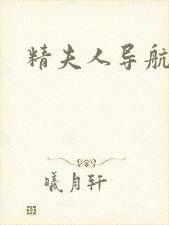 精夫人导航封面