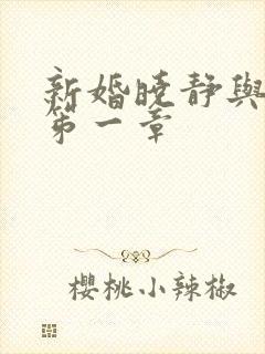 新婚晓静与翁公笫一章