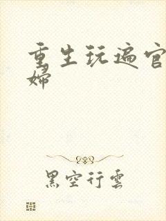 重生玩遍官场贵妇