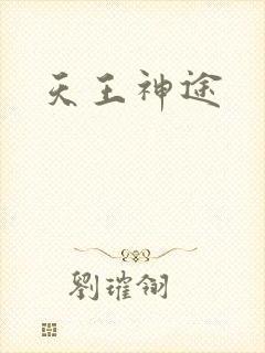 天王神途封面
