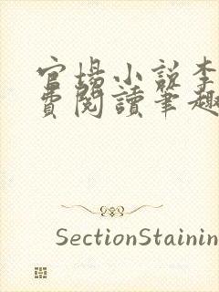 官场小说李霖免费阅读笔趣阁封面