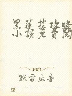 黑莲花攻略手册小说免费阅读封面