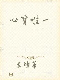 心宝唯一