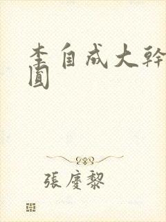 李自成大干陈圆圆封面