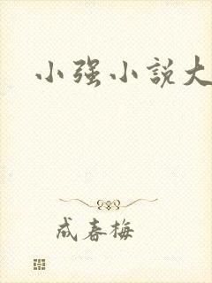 小强小说大全封面