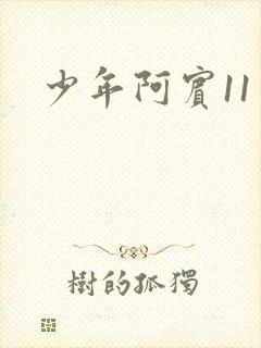 少年阿宾11