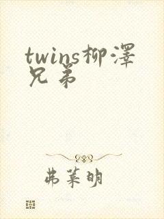 twins柳泽兄弟封面