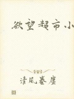 欲望超市小说封面