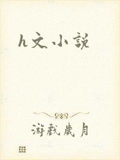 h文小说