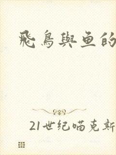 飞鸟与鱼的故事