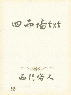 四面墙txt封面