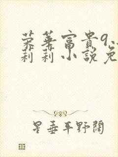 荣华富贵9小王莉莉小说免费阅读