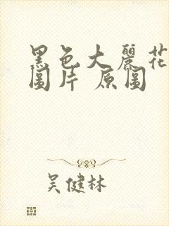 黑色大丽花真实图片 原图封面