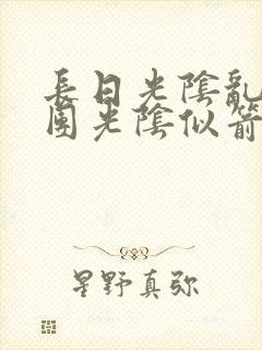 长日光阴乱作一团光阴似箭眇眇翟