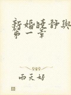 新婚晓静与翁公笫一章封面