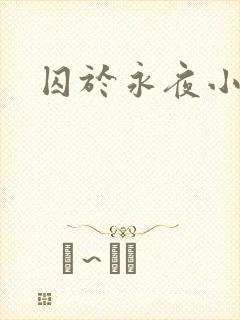 囚于永夜小说封面