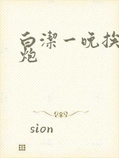 白洁一晚挨十二炮封面