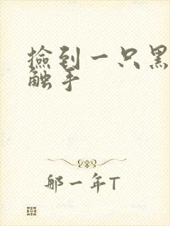 捡到一只黑心小触手