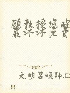 顾教授您醒了吗严沐沐免费阅读全文小说