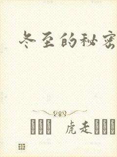 冬至的秘密封面