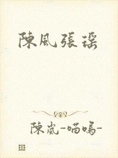 陈风张瑶