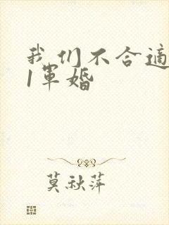 我们不合适1v1军婚封面