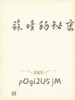 苏晴的秘密小说