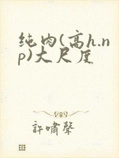 纯肉(高h.np)大尺度