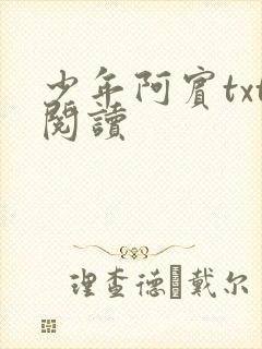 少年阿宾txt阅读封面