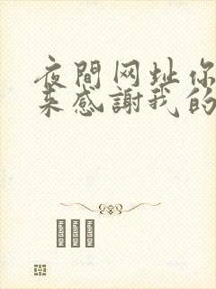 夜间网址你会回来感谢我的