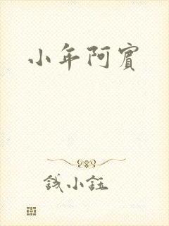 小年阿宾封面
