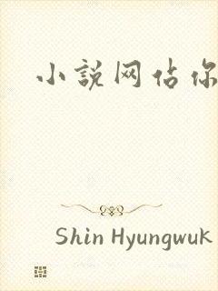 小说网站你懂的