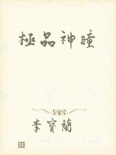 极品神瞳
