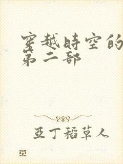穿越时空的爱恋第二部