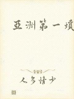 亚洲第一坟封面
