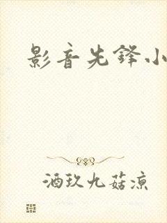 影音先锋小说封面