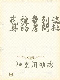 我被带到满是玩具的房间挑调游戏