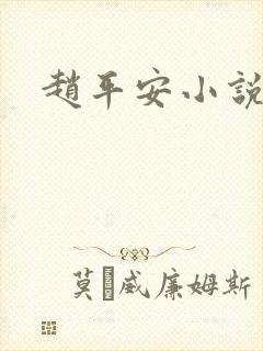 赵平安小说主角