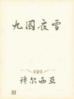 九国夜雪