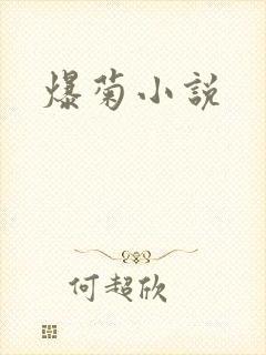 爆菊小说