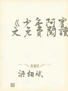 《少年阿宾》全文免费阅读