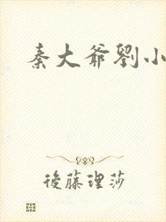 秦大爷刘小静封面