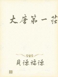 大唐第一庄