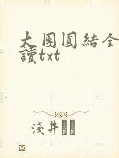 大团圆结全文阅读txt