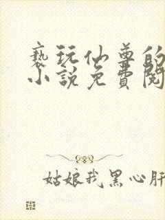 亵玩仙尊的道侣小说免费阅读