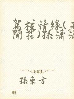 驾校情缘(老树开花)孙潇潇笔趣阁