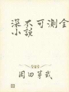 深不可测金银花小说