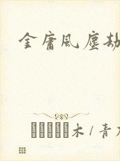 金庸风尘劫
