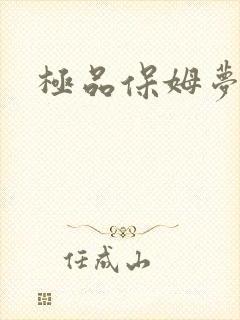 极品保姆梦梦封面