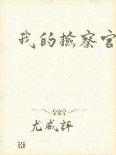 我的检察官先生